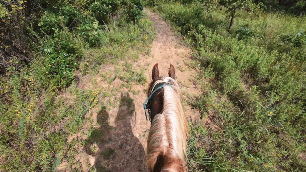 trail horse trainer on Legacy